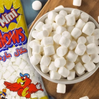 Ziyad Halal Gourmet Mini Marshmallows